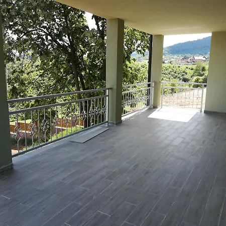 Vila New Galia Misevici