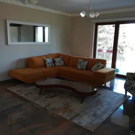 Vila New Galia Misevici