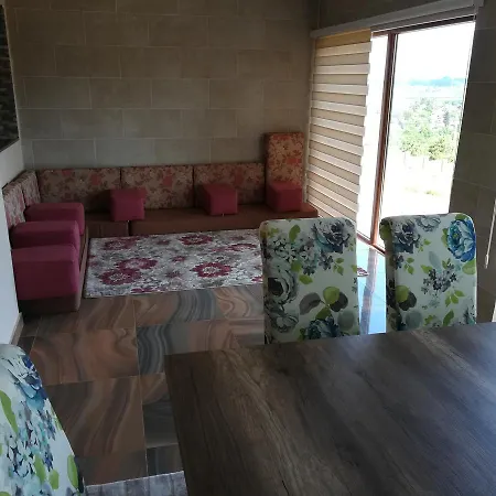 New Galia Vila *